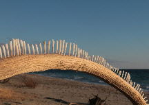  Land Art Puglia 2014