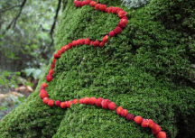 LandArt Frankreich