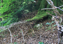 Biel Landart 2016