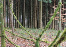 Dreharbeiten Schweizer Fernsehen